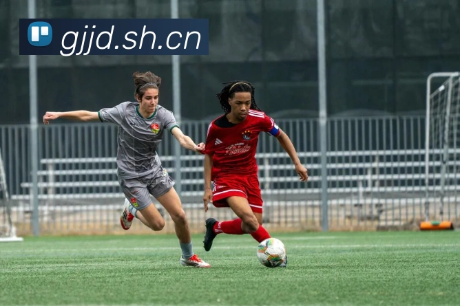 开云app在线登陆入口发展历程